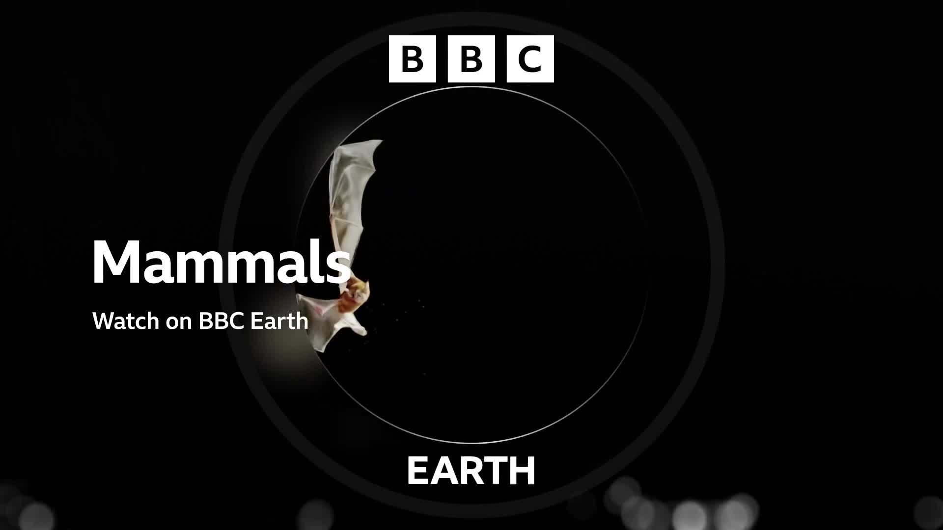 BBCEarth