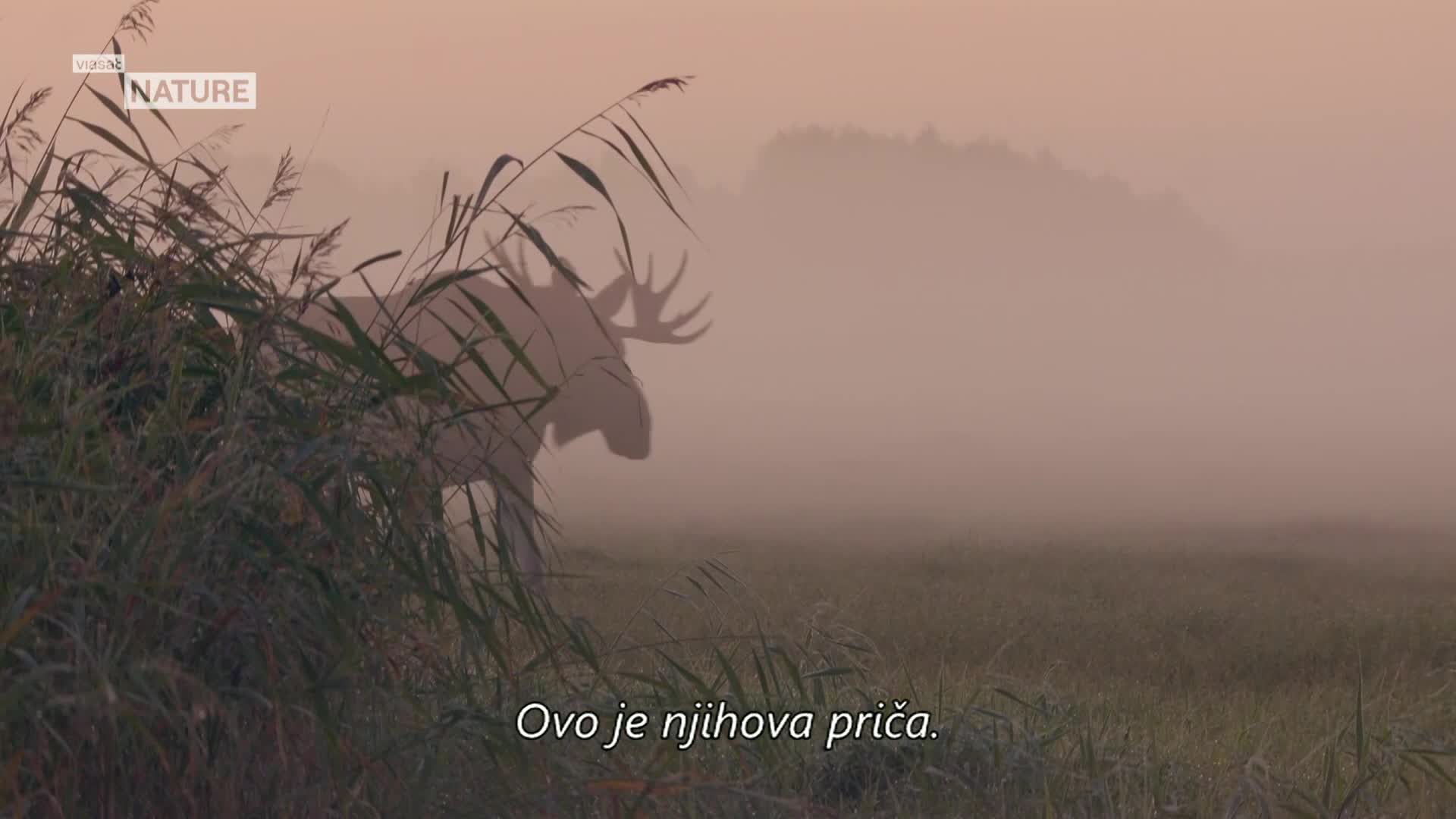 ViasatNature