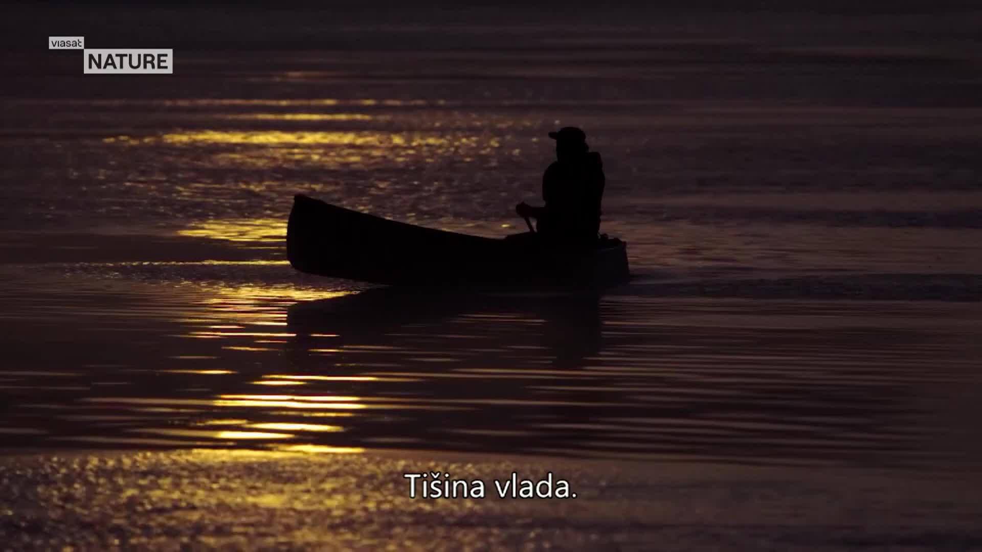 ViasatNature