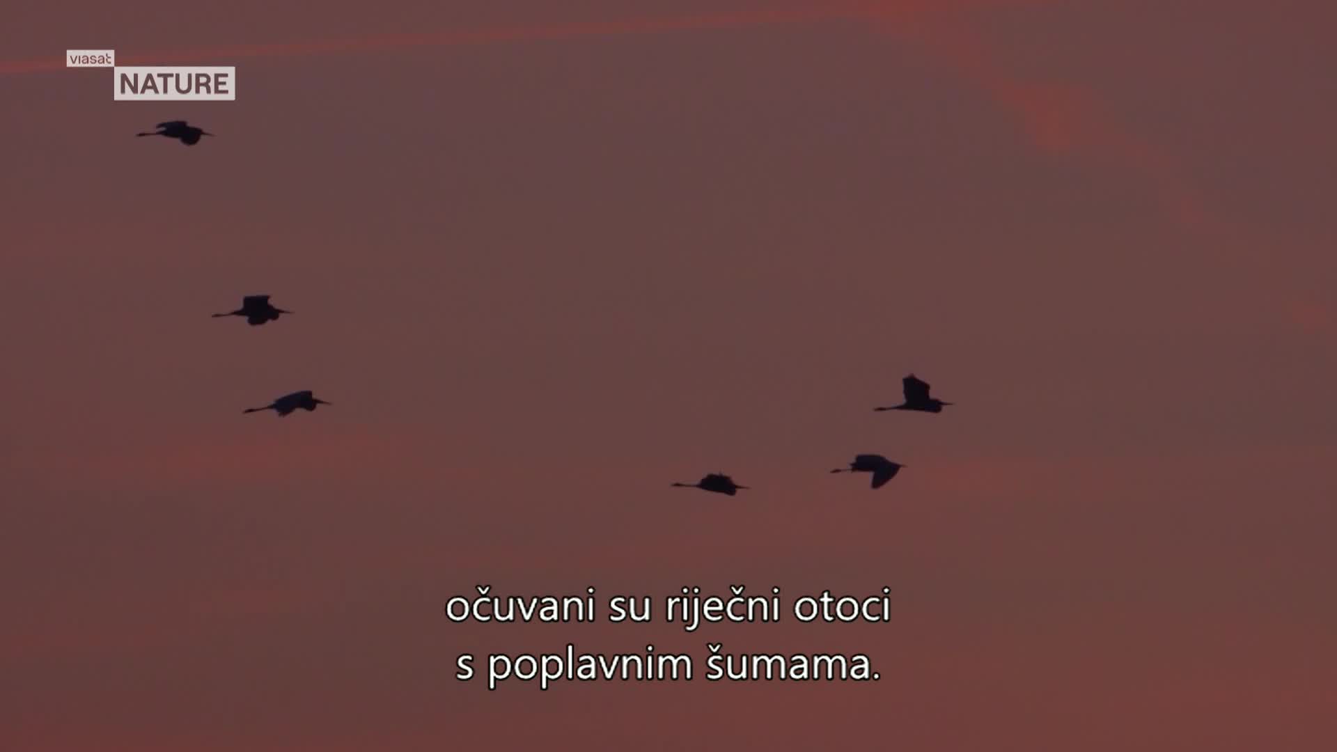 ViasatNature