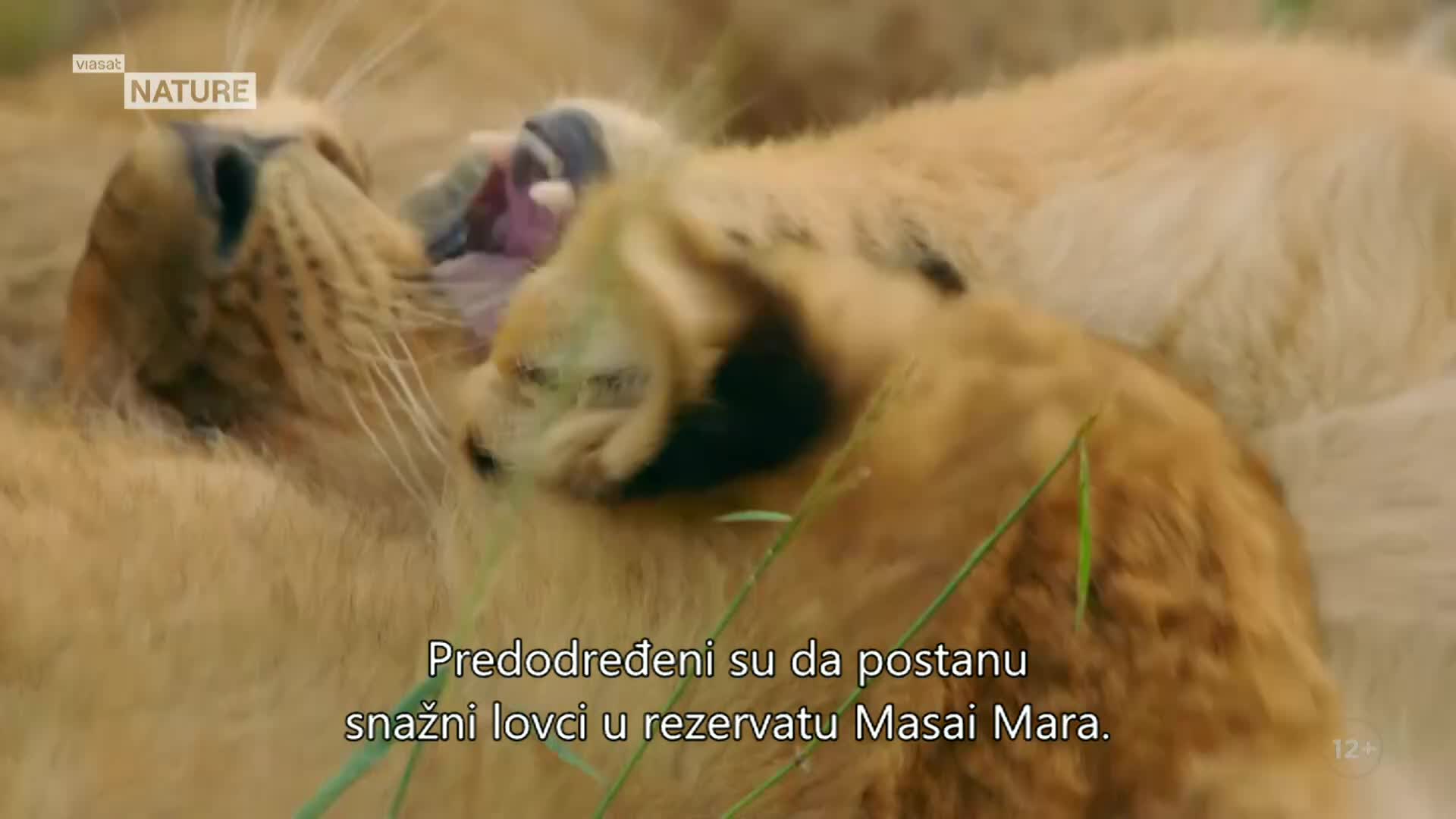 ViasatNature
