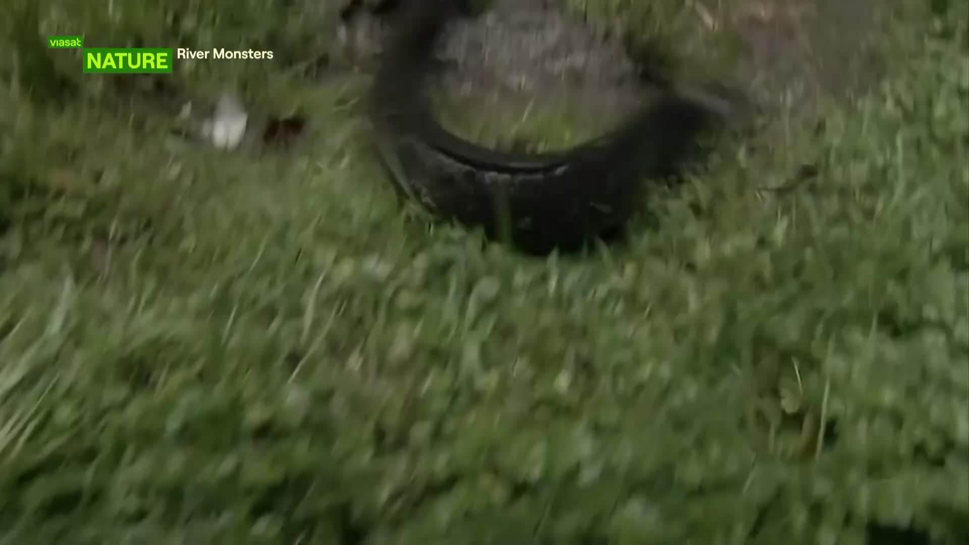 ViasatNature