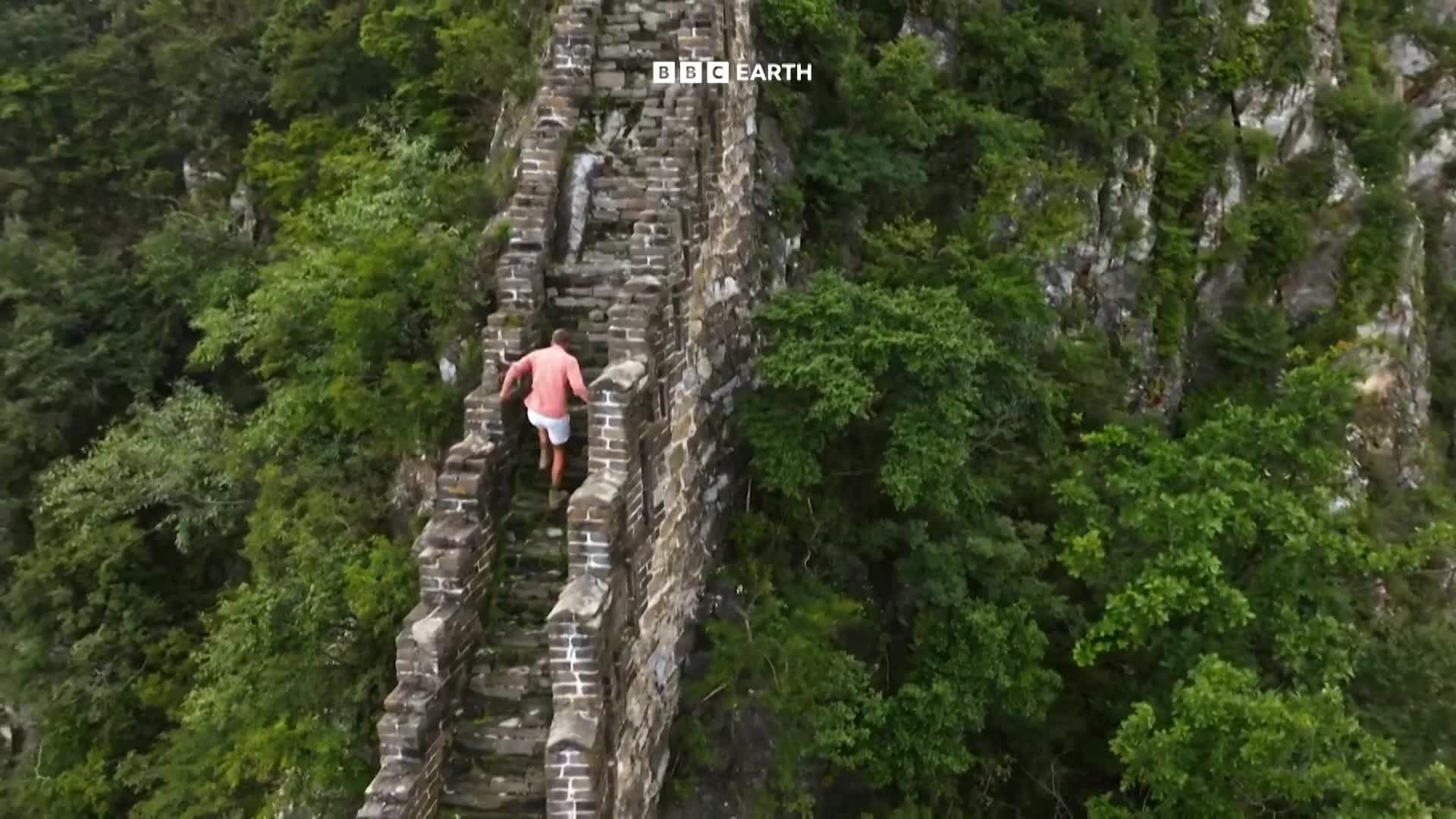 BBCEarth
