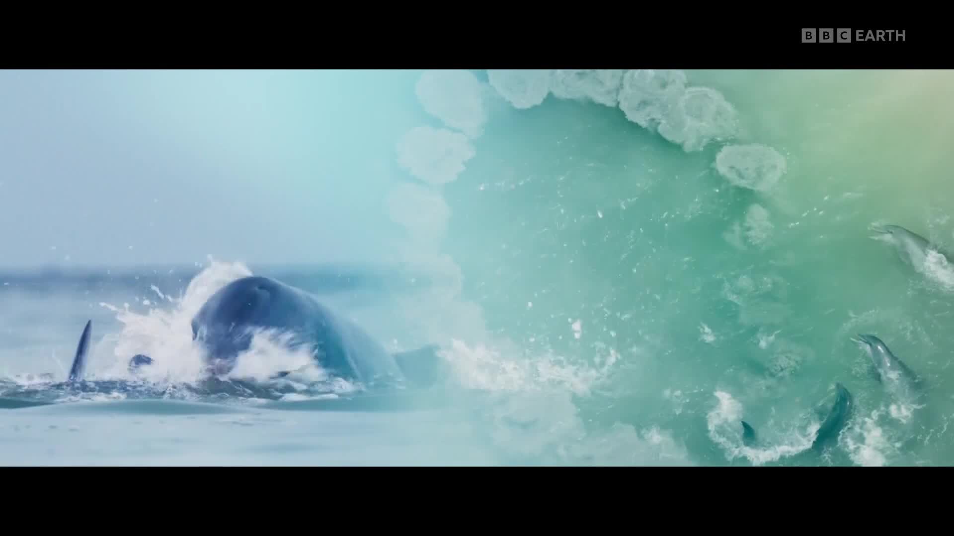 BBCEarth