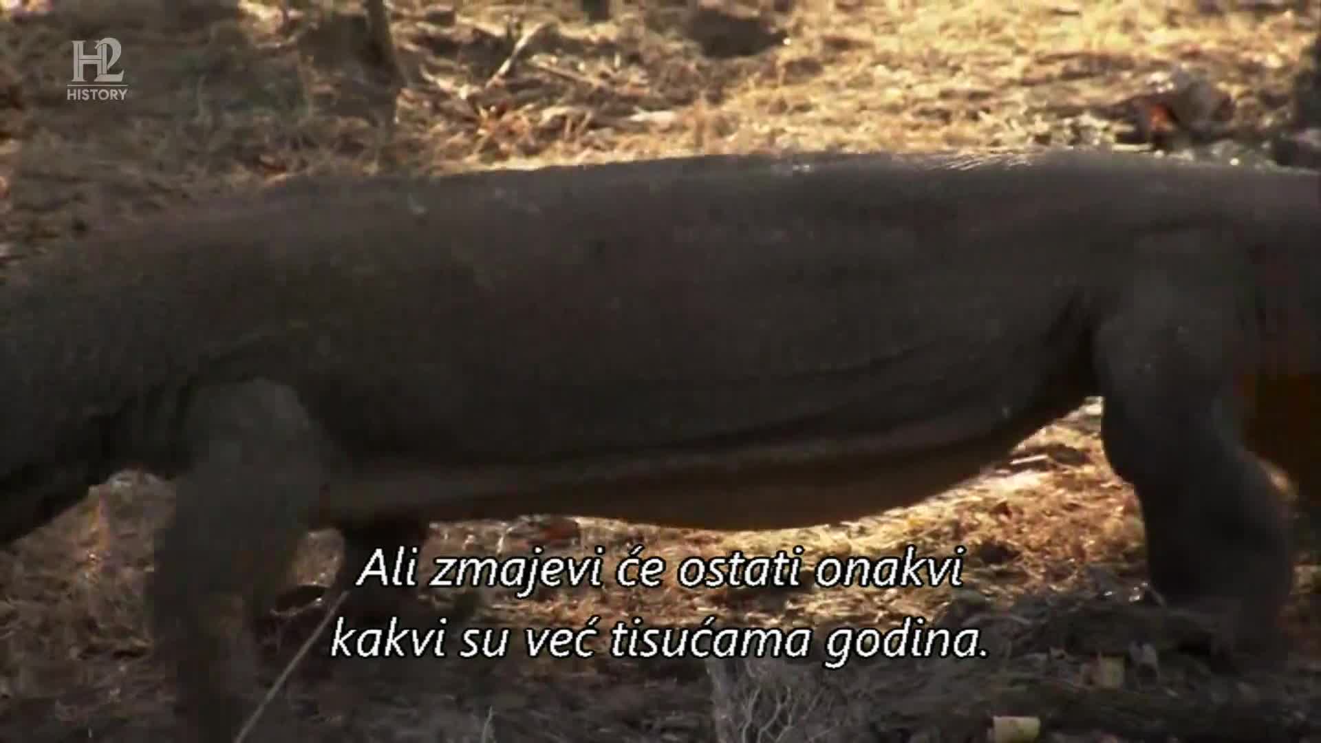 History2