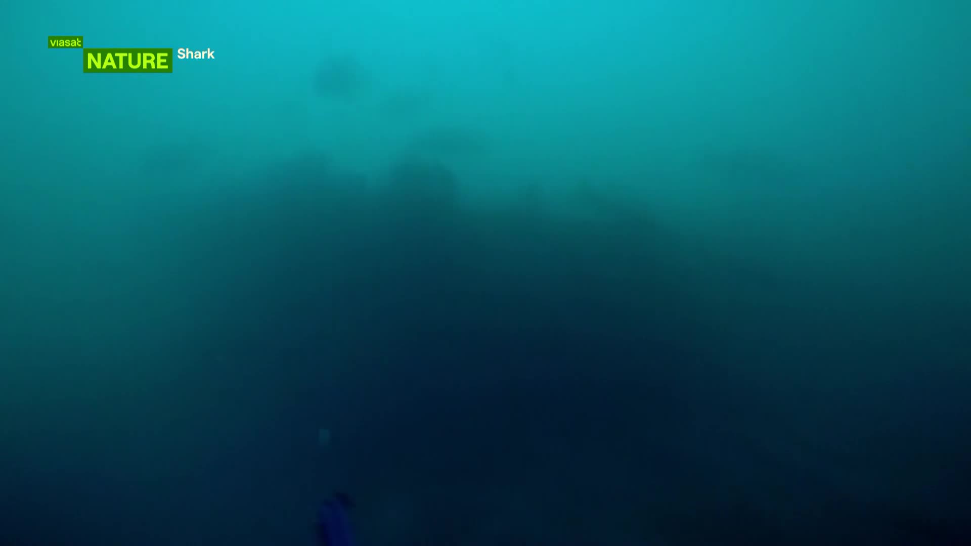 ViasatNature