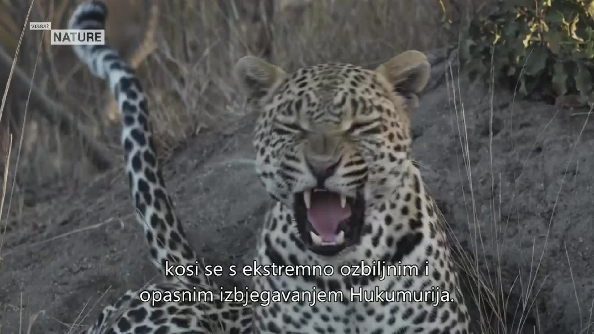ViasatNature