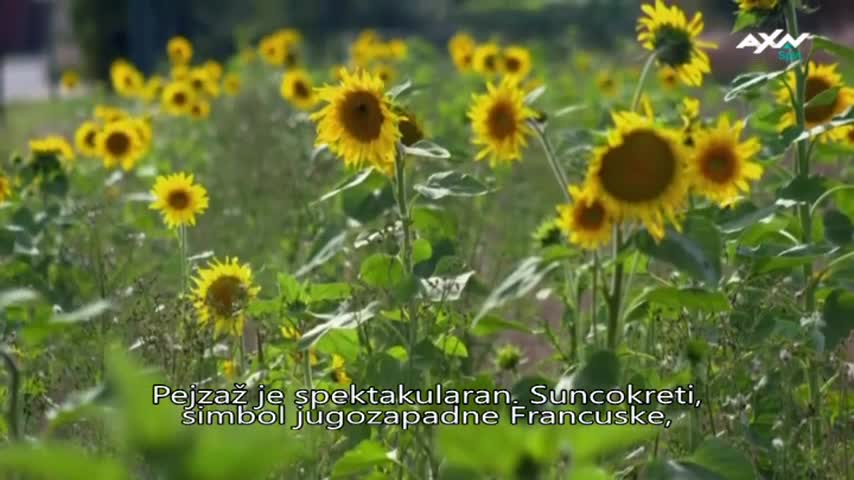 AXNSpin