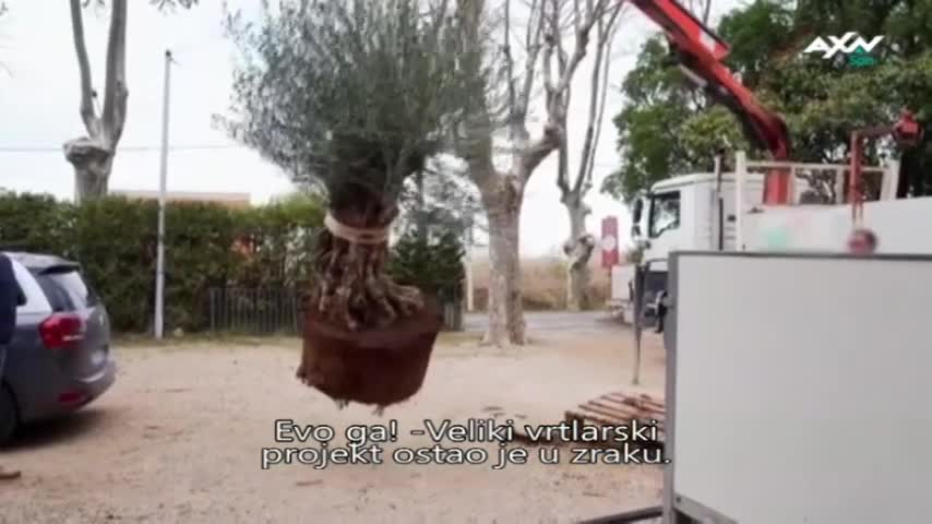 AXNSpin