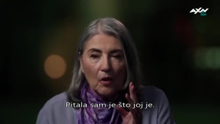 AXNSpin