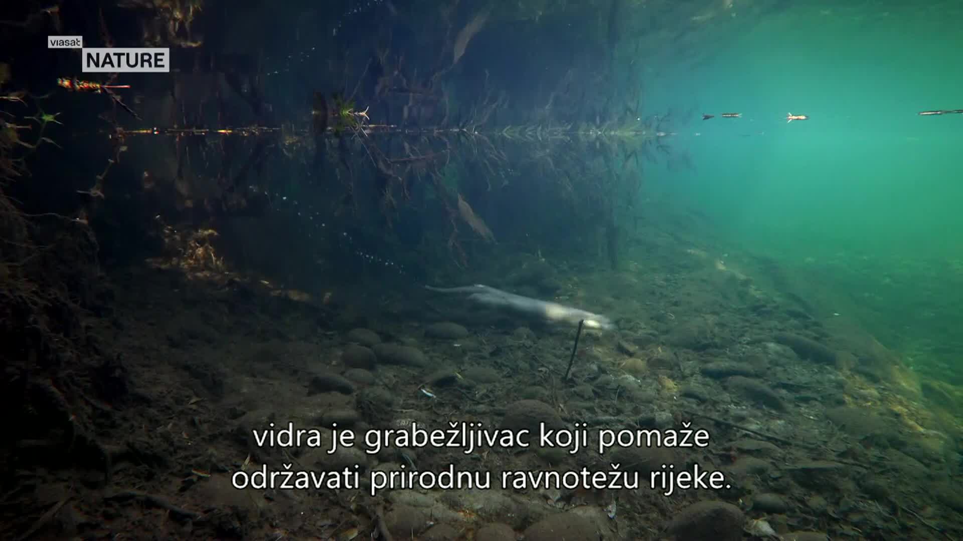 ViasatNature