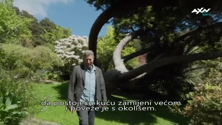 AXNSpin