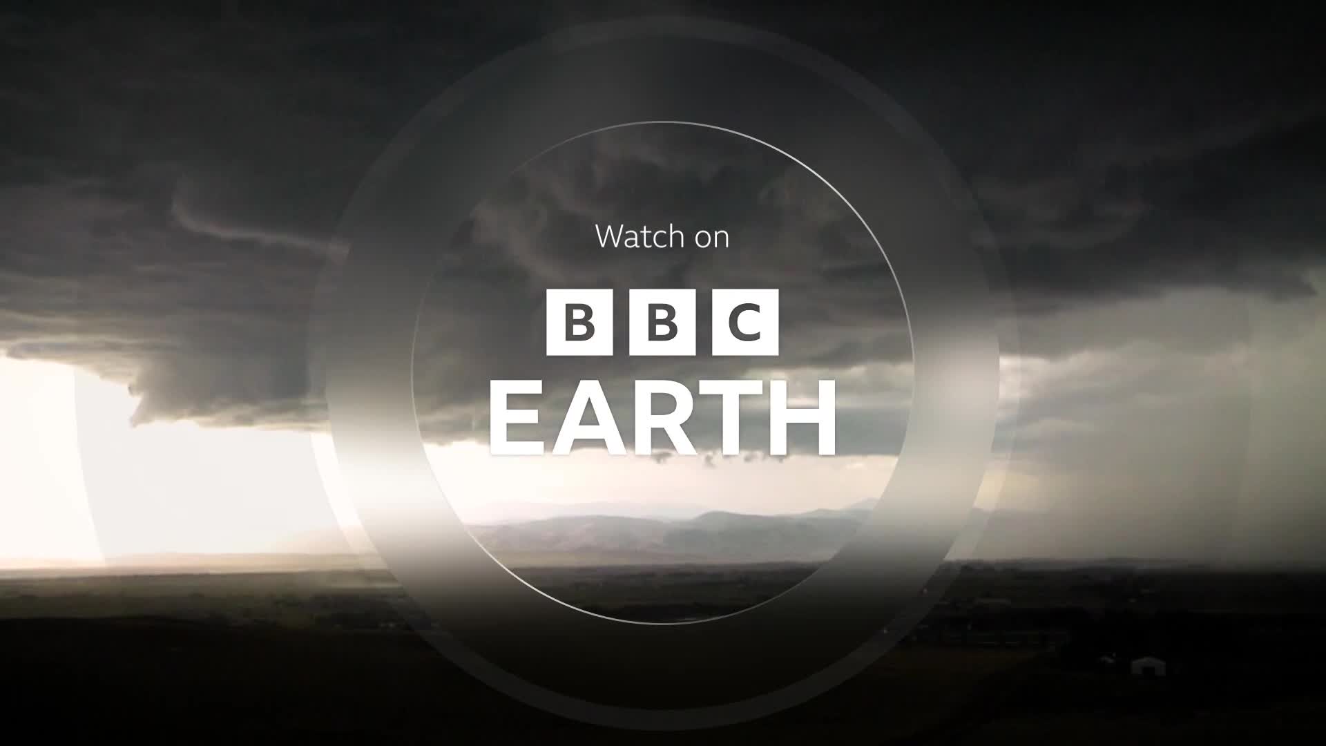 BBCEarth