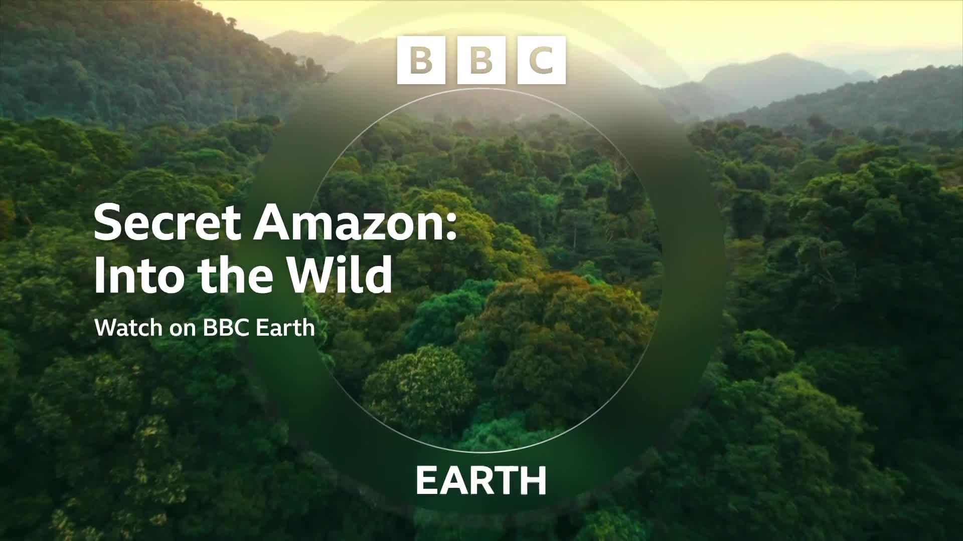 BBCEarth