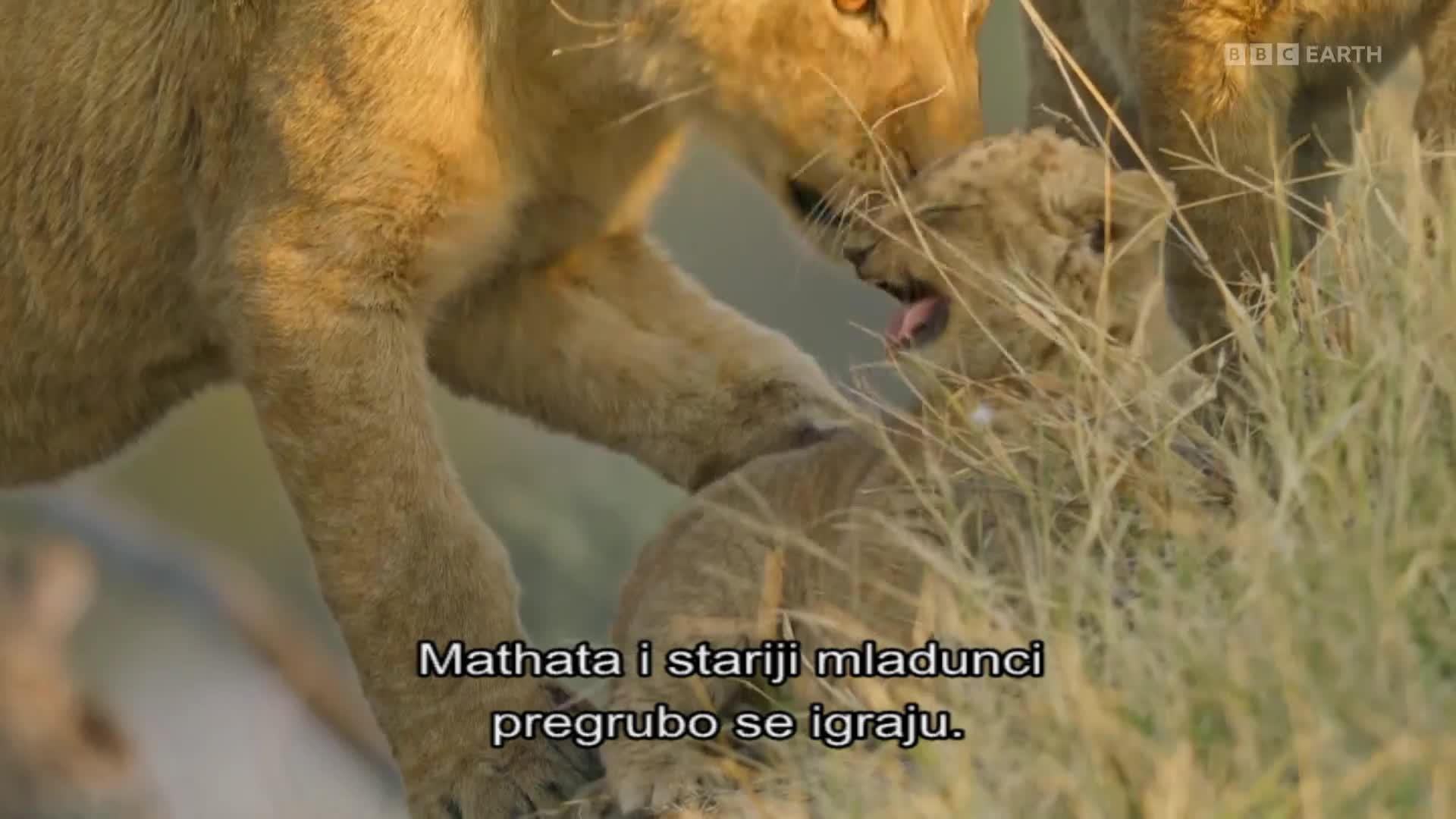 BBCEarth