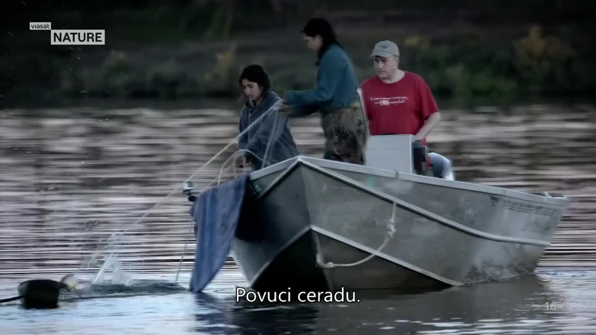 ViasatNature