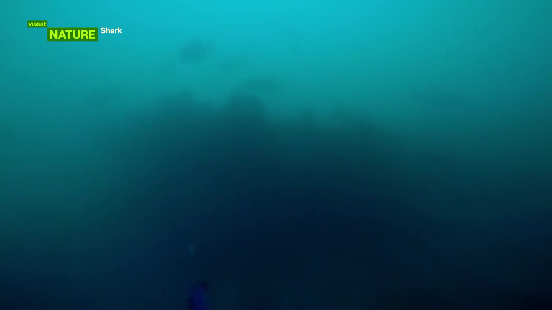 ViasatNature