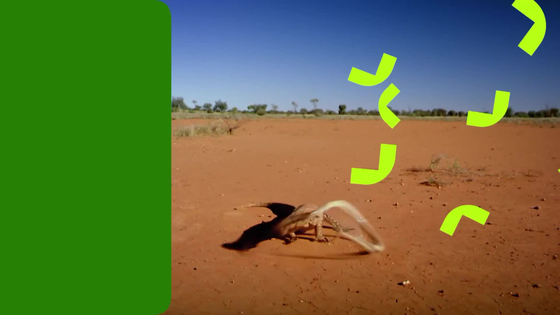 ViasatNature