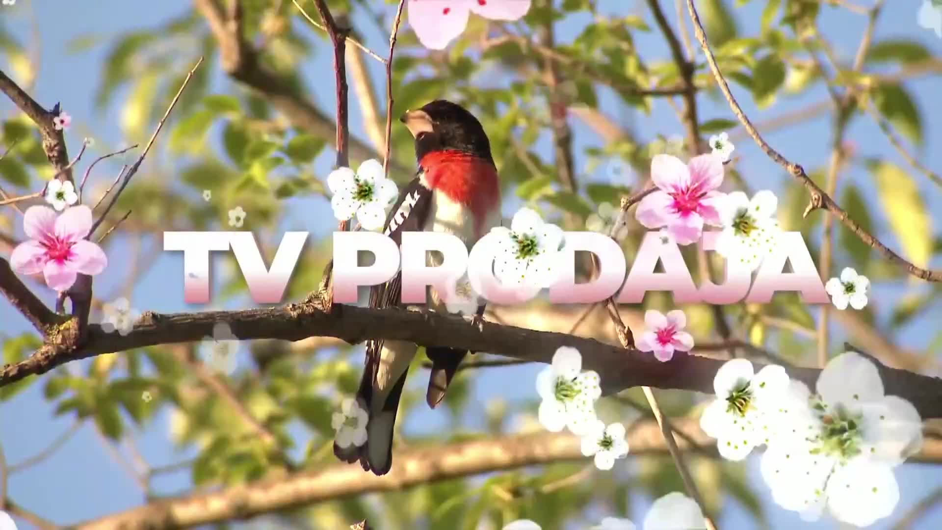 HappyTV