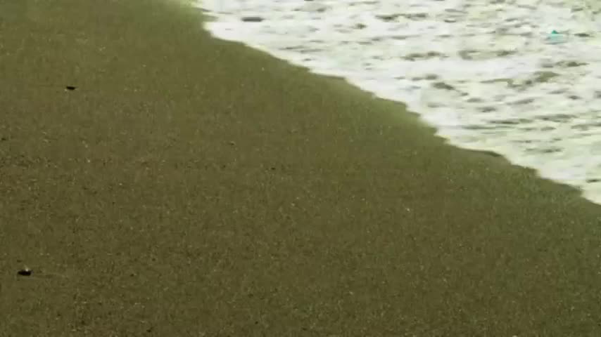 AXNSpin