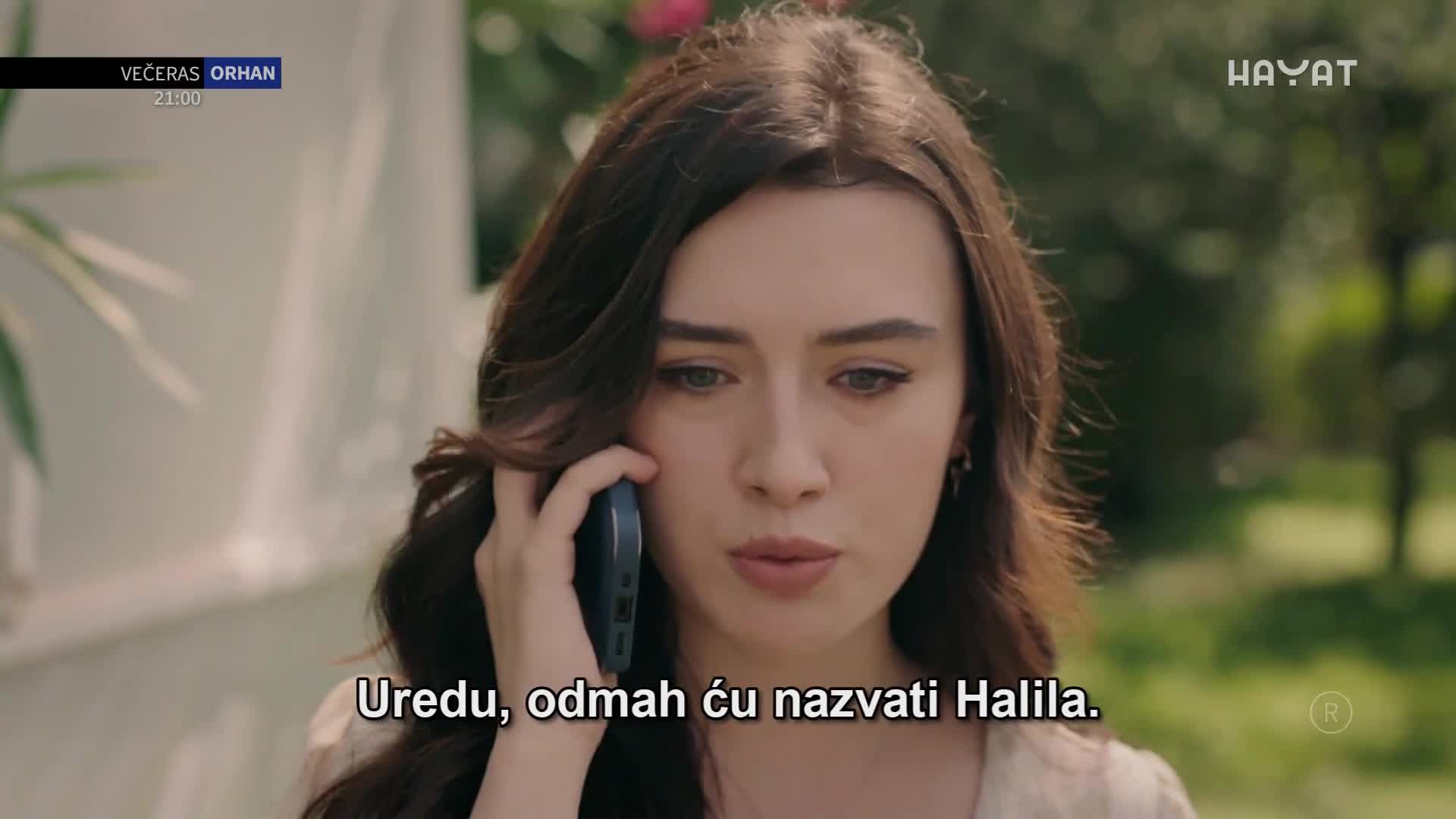 hayat