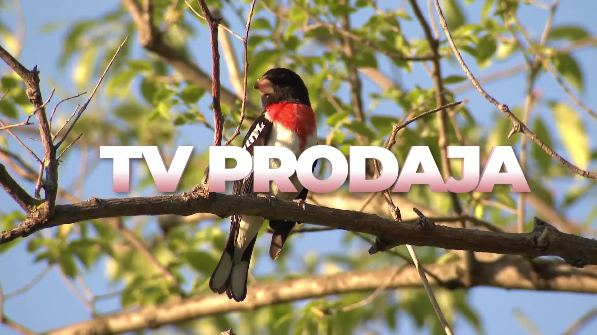 HappyTV