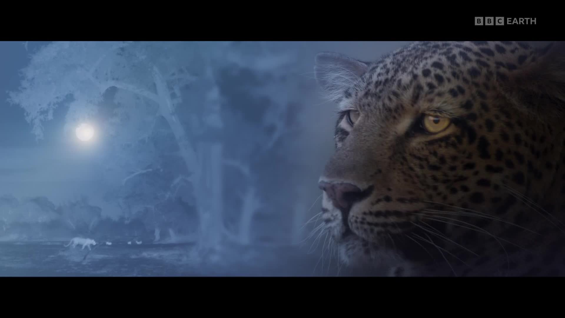 BBCEarth