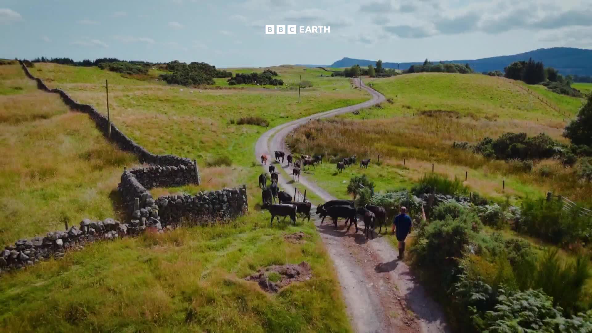 BBCEarth