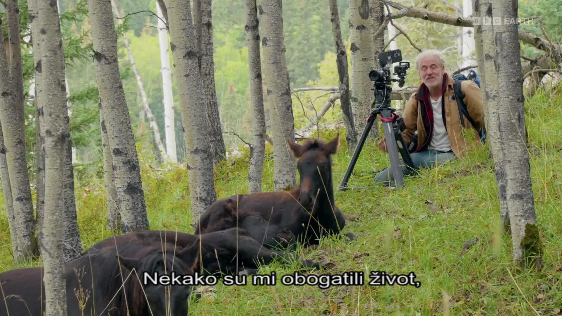 BBCEarth