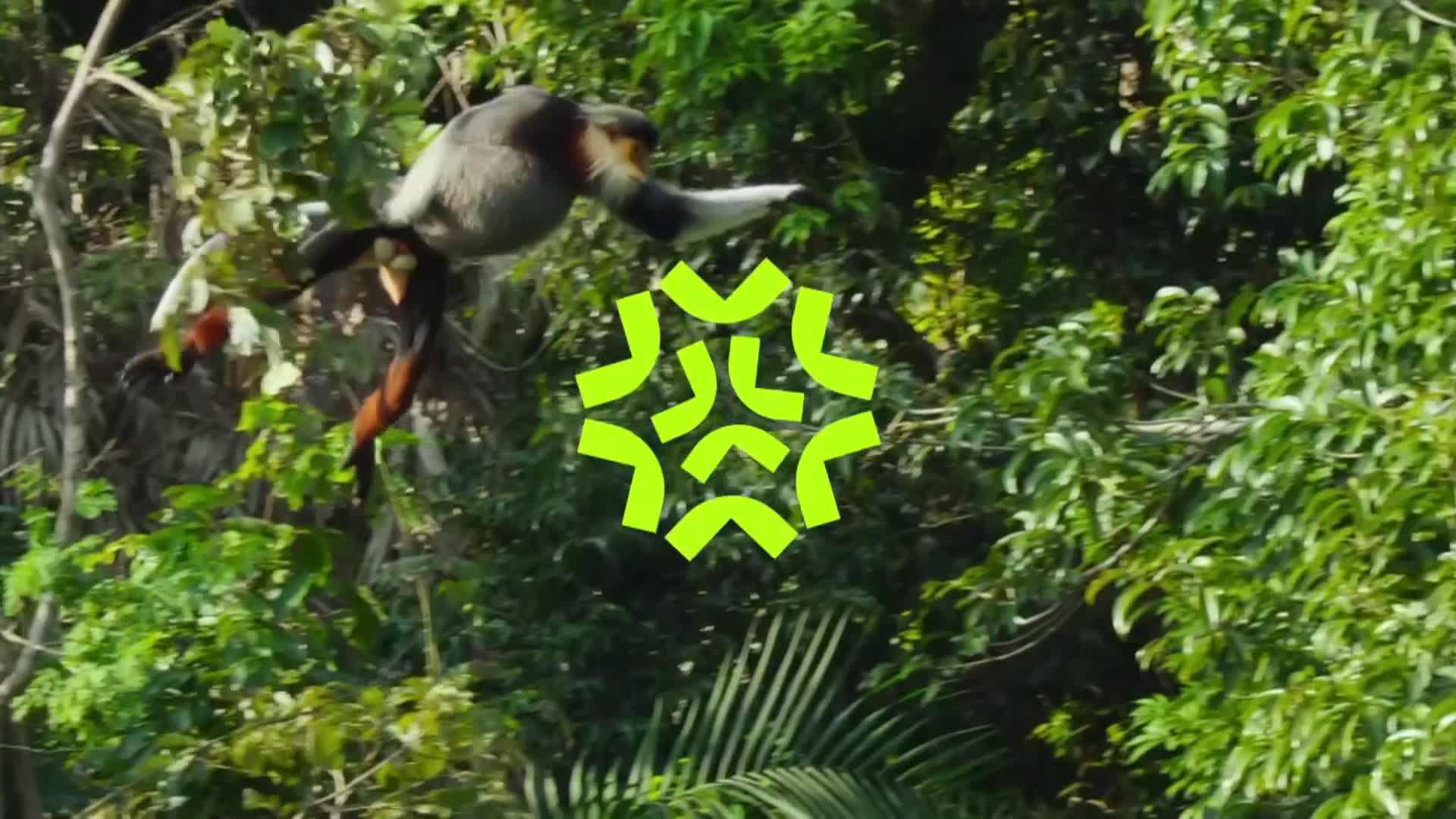 ViasatNature