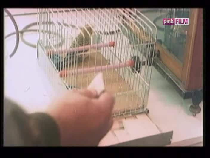 PinkFilm