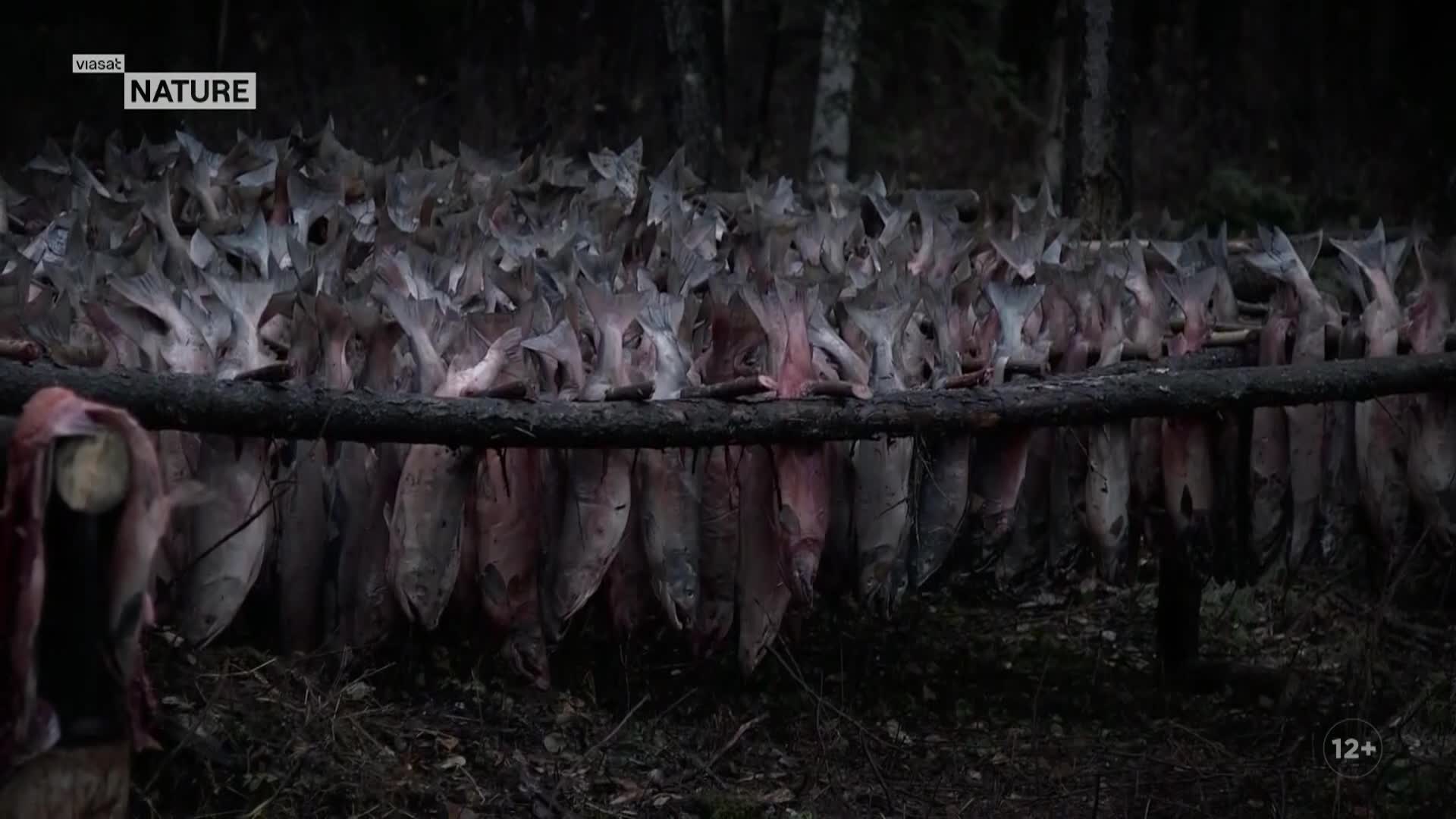 ViasatNature