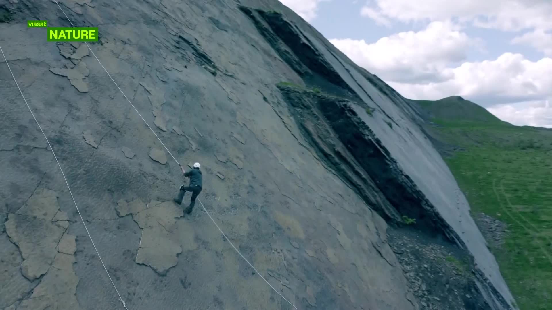 ViasatNature