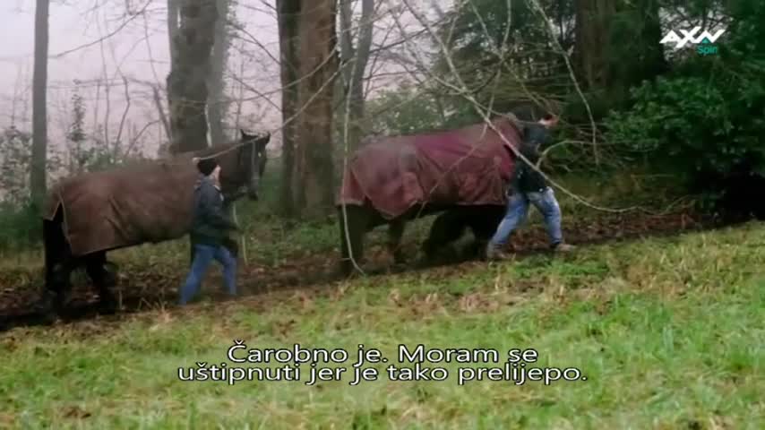 AXNSpin