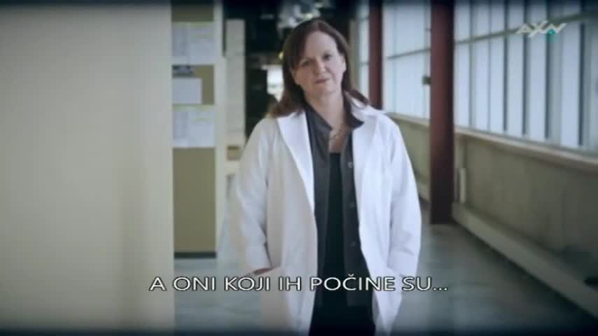 AXNSpin