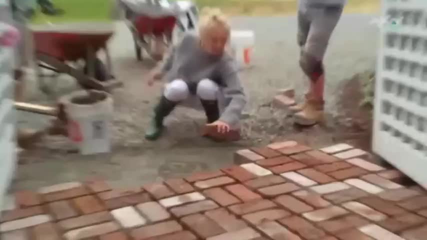 AXNSpin