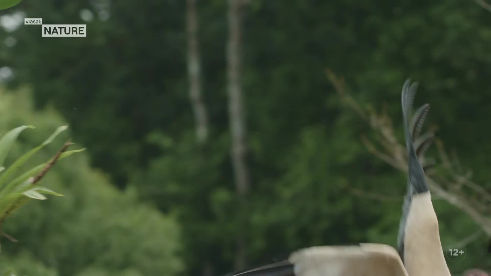 ViasatNature
