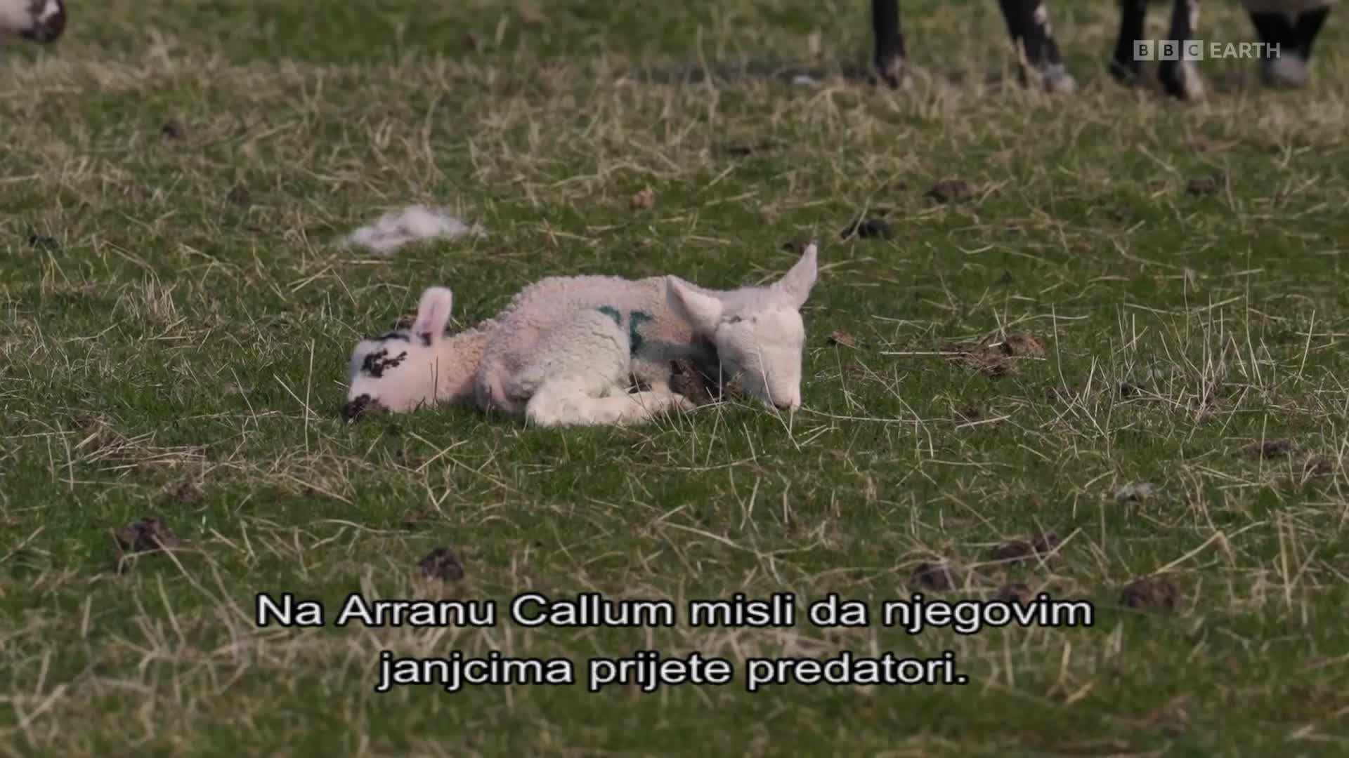 BBCEarth