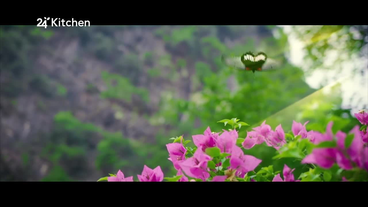 24Kitchen