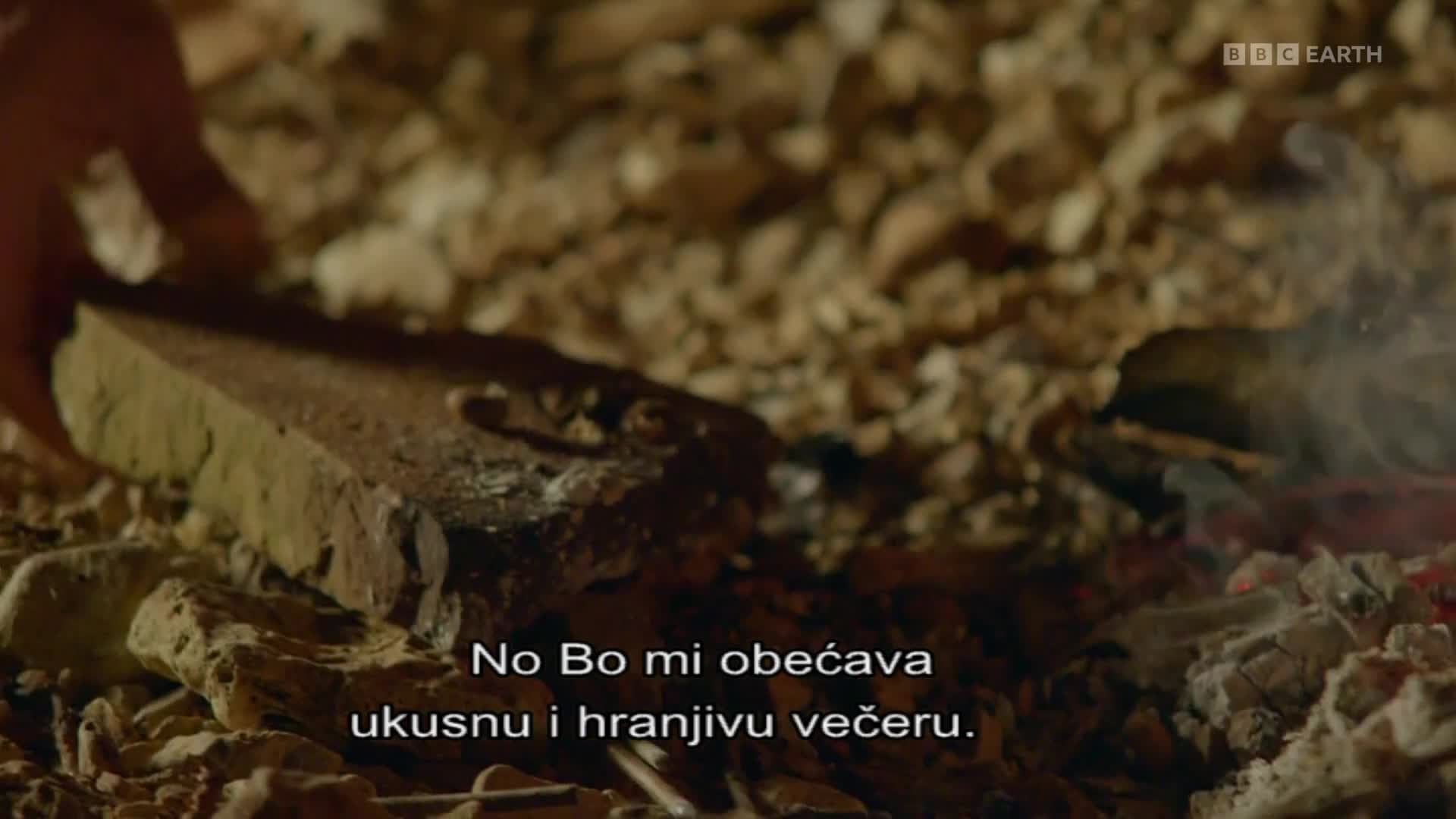 BBCEarth