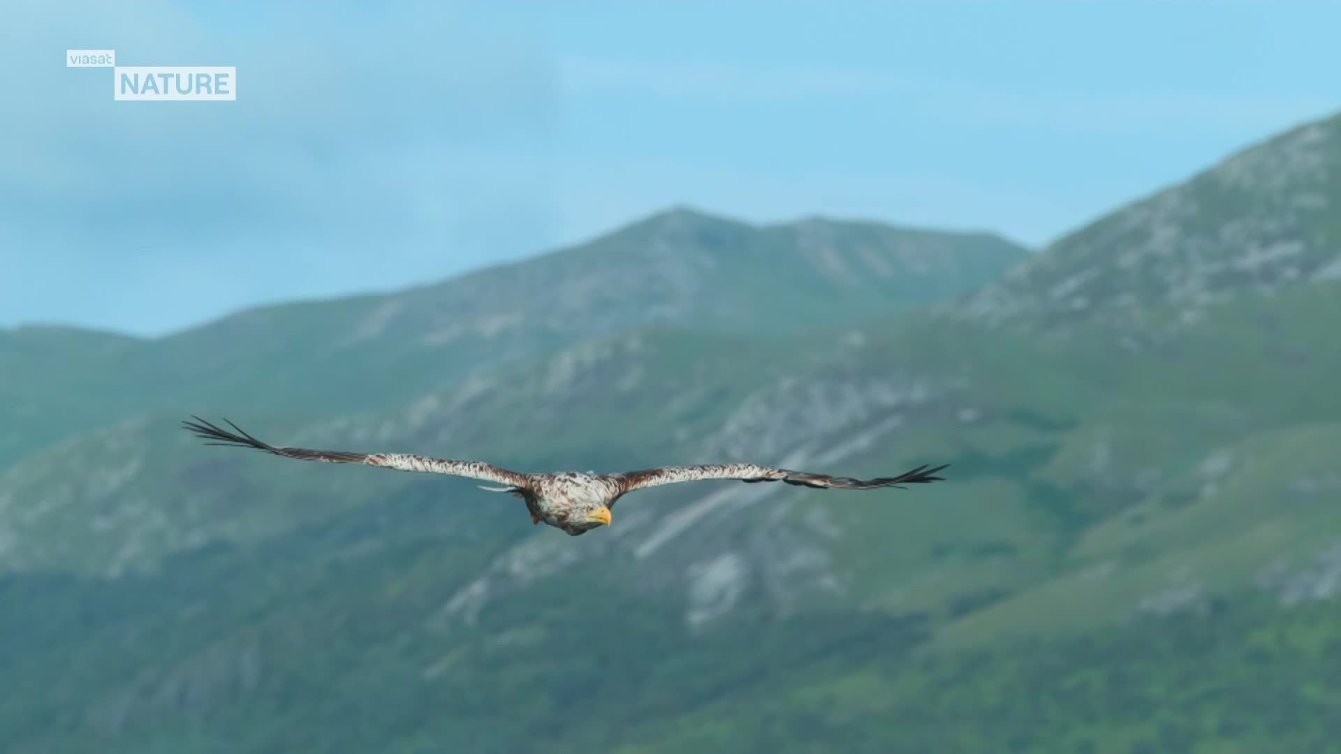 ViasatNature