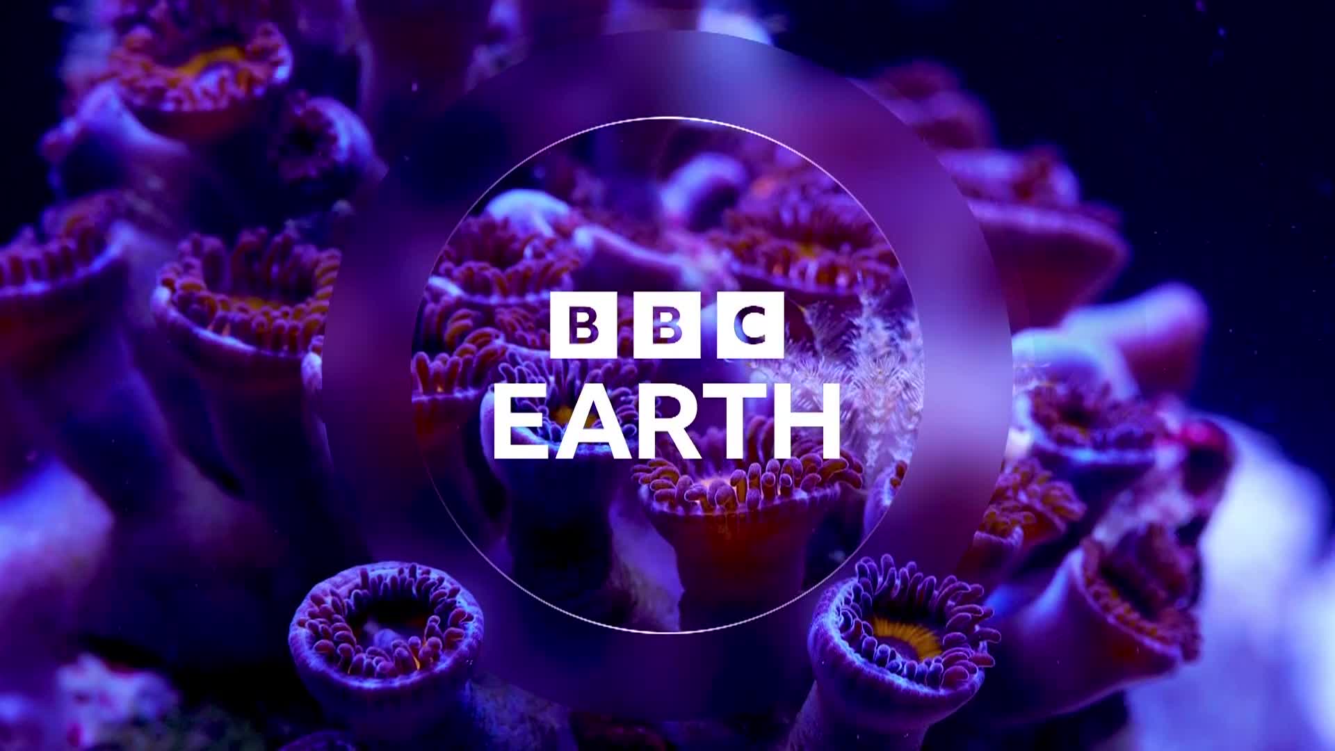 BBCEarth
