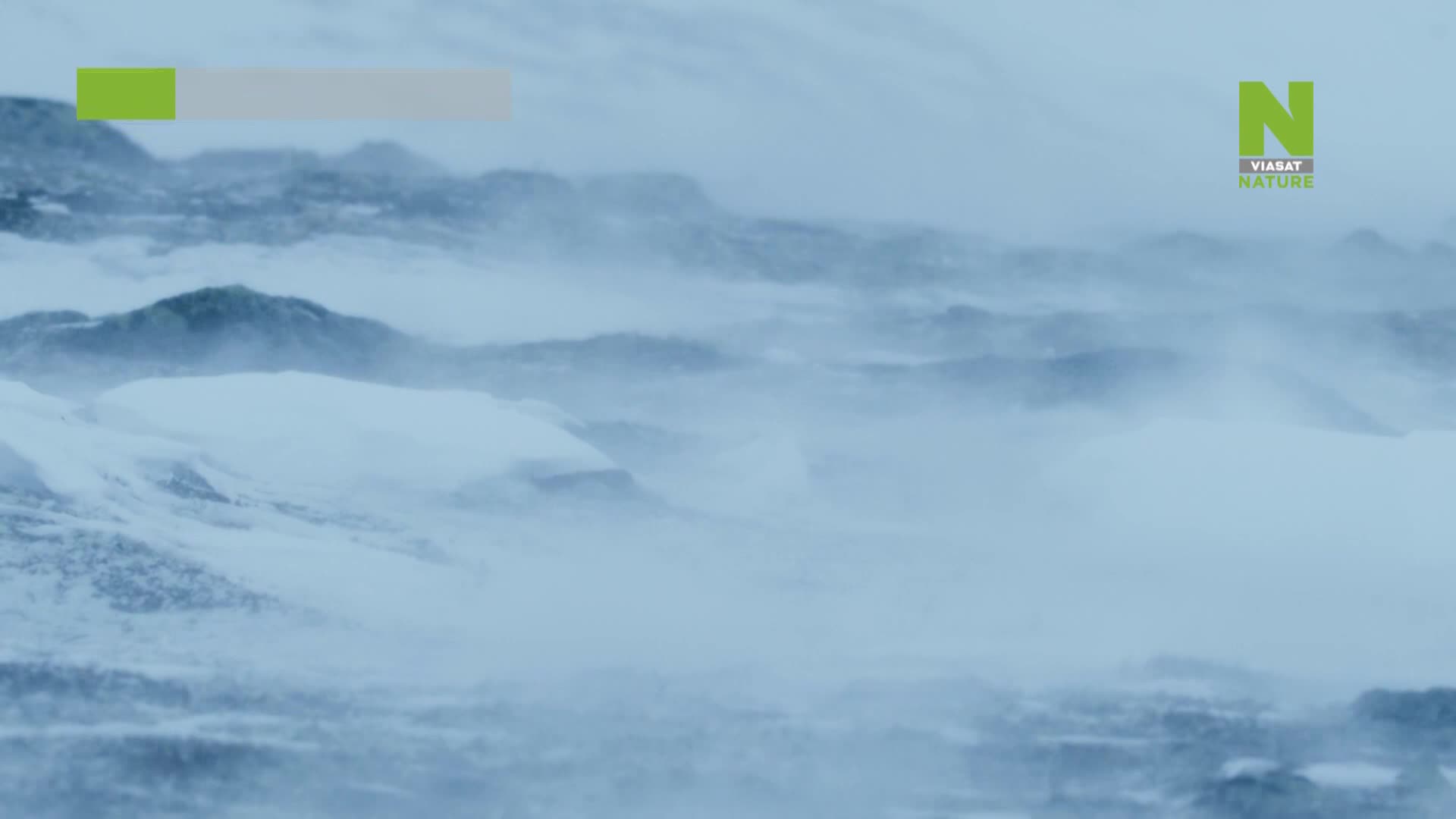 ViasatNature