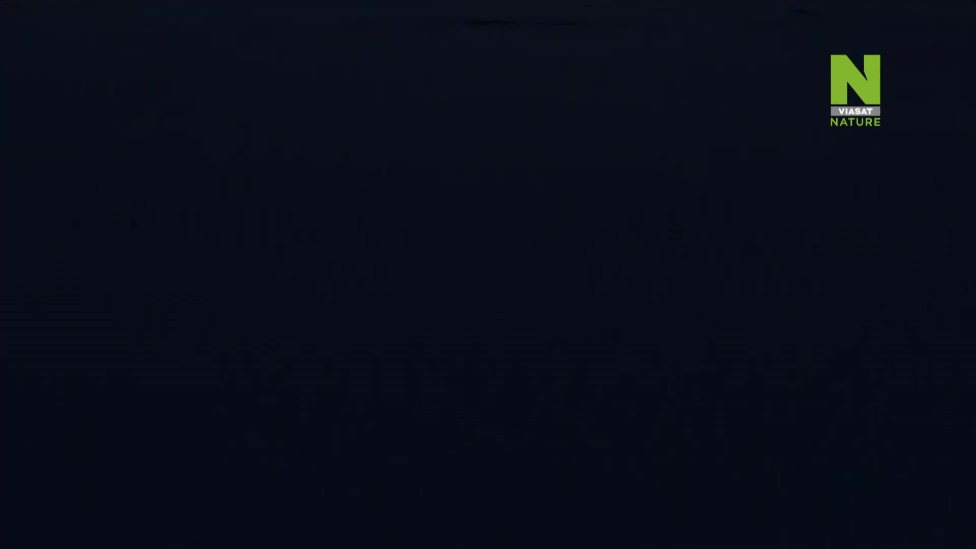 ViasatNature