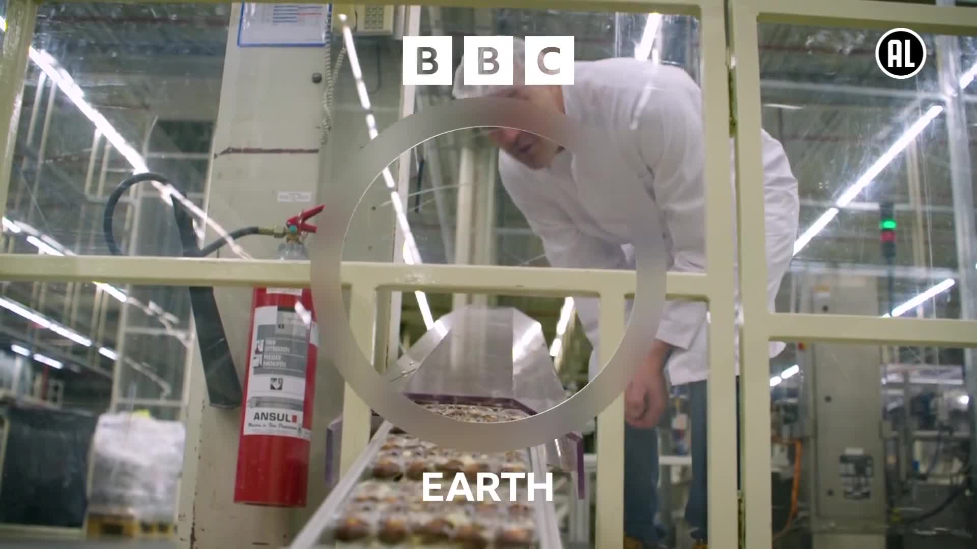 BBCEarth