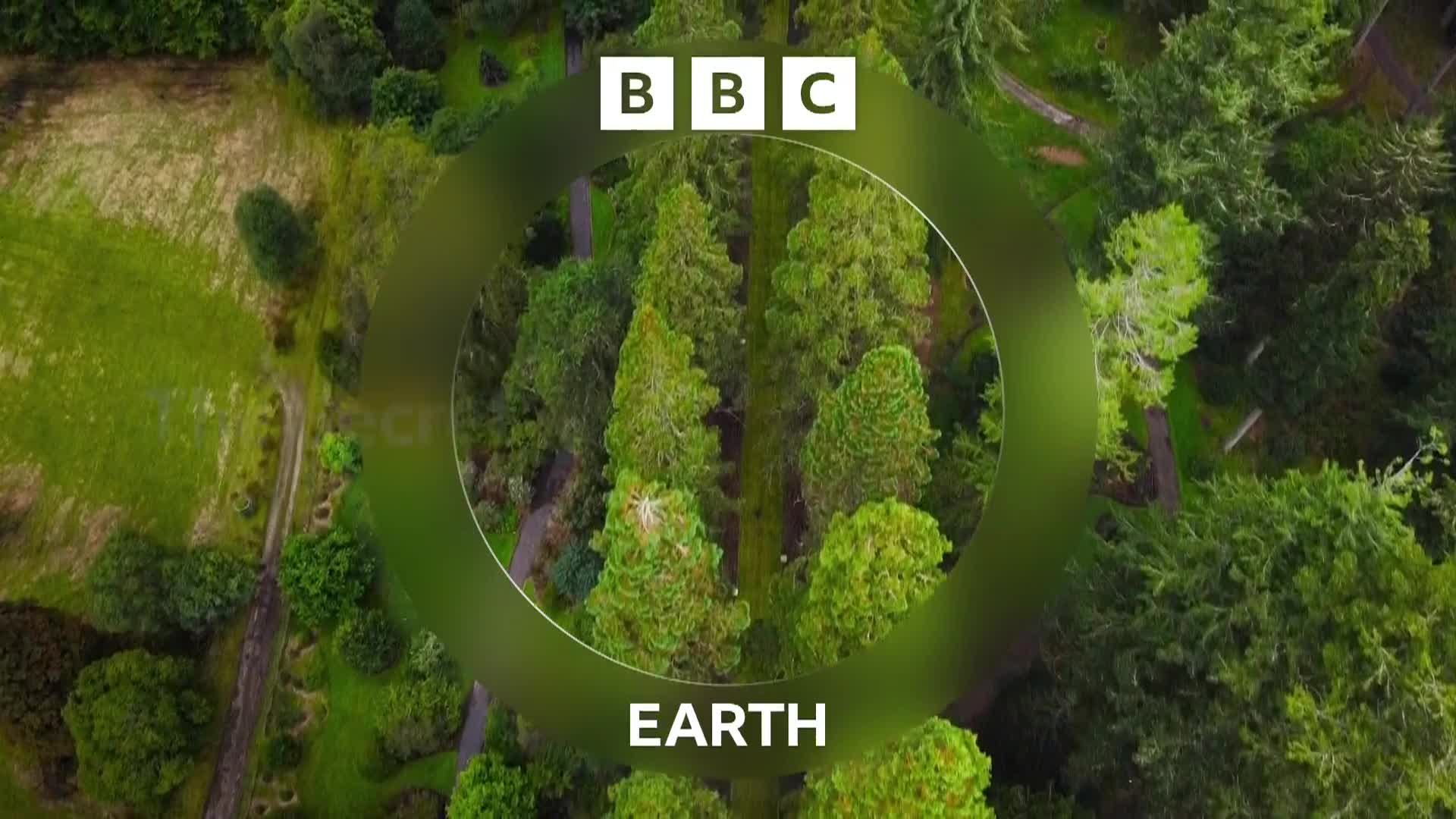 BBCEarth
