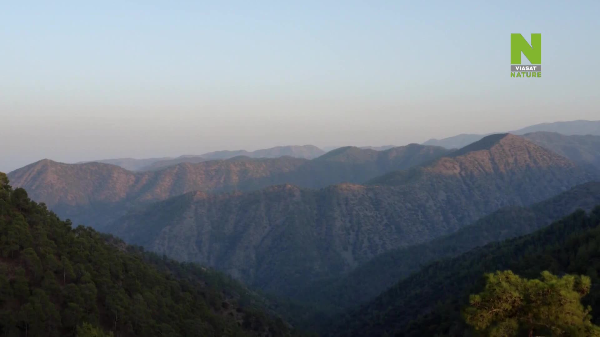 ViasatNature