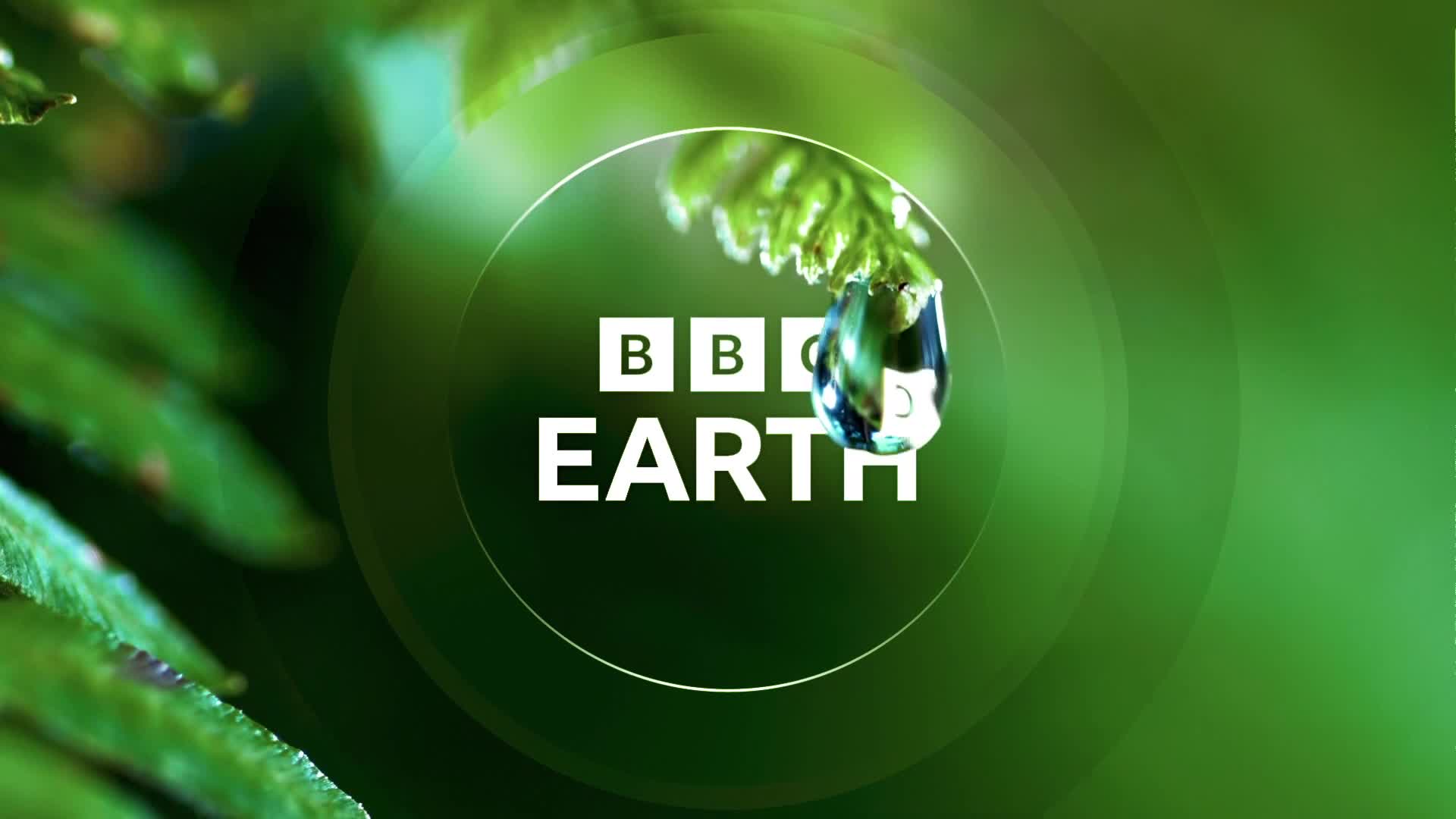 BBCEarth