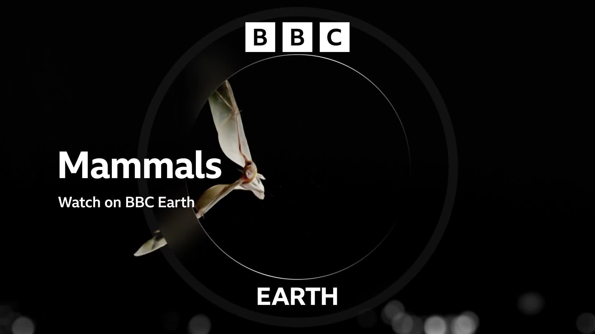 BBCEarth