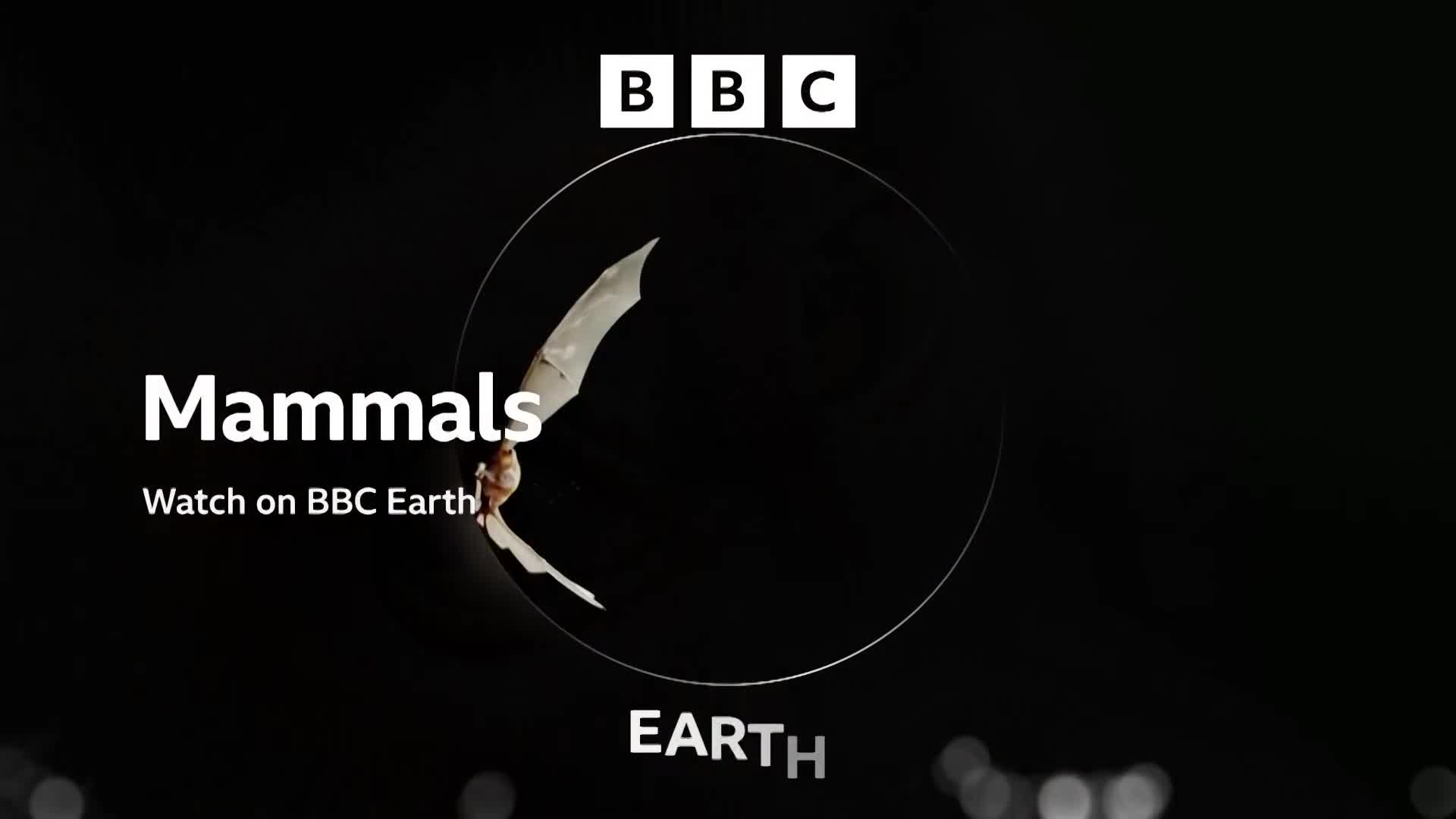 BBCEarth